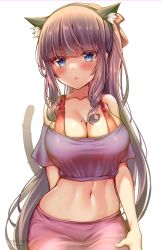 Rule 34 | 1girl, animal ear fluff, animal ears, bare shoulders, black shirt, blue eyes, blush, bra, bra strap, breasts, brown hair, cat ears, cat girl, cat tail, cleavage, collarbone, crop top, extra ears, fake animal ears, hair ribbon, hairband, highres, kaptivate, kemonomimi mode, large breasts, long hair, looking at viewer, midriff, mole, mole on breast, navel, new game!, off-shoulder shirt, off shoulder, parted lips, pink skirt, ponytail, red bra, ribbon, shirt, short sleeves, sidelocks, skirt, slit pupils, solo, stomach, tail, tail raised, takimoto hifumi, taut clothes, taut shirt, underwear, upper body, very long hair