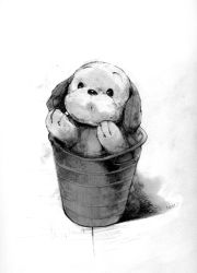 Rule 34 | animal focus, bad id, bad pixiv id, bucket, dog, greyscale, in container, monochrome, no humans, nobusnow, stuffed toy