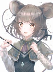 Rule 34 | 1girl, absurdres, animal ears, capelet, dowsing rod, flat chest, grey hair, highres, holding, holding stick, jewelry, looking at viewer, mouse ears, mouse tail, nazrin, open mouth, pendant, red eyes, short hair, simple background, smile, solo, stick, tail, touhou, tqg 07, upper body, white background