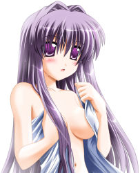 Rule 34 | 00s, 1girl, blush, breasts, clannad, cleavage, fujibayashi kyou, hair intakes, medium breasts, otoki raku, purple eyes, purple hair, solo, towel, wet