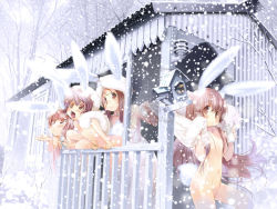 Rule 34 | 4girls, animal ears, bare tree, bottle, brown eyes, brown hair, rabbit ears, flat chest, hanpen, holding, long hair, looking at viewer, looking up, multiple girls, nipples, nude, open mouth, outdoors, puus, snow, snowing, tree, winter, zenra