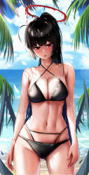 Rule 34 | 1girl, absurdres, arms at sides, beach, bikini, black hair, blue archive, blue sky, breasts, cleavage, cloud, collarbone, cowboy shot, day, gluteal fold, halo, high ponytail, highres, kimchi (user mpzz8457), large breasts, leaf, long hair, looking at viewer, multi-strapped bikini, navel, outdoors, parted lips, raised eyebrows, red eyes, resolution mismatch, side ahoge, skindentation, sky, solo, source smaller, stomach, swimsuit, tsurugi (blue archive), very long hair, wet, wet hair