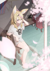 Rule 34 | 1girl, absurdres, akashi (4kc 27), animal ear fluff, animal ears, ball, bare legs, barefoot, beachball, black hair, blonde hair, blurry, blurry foreground, blush, breasts, chair, cherry blossoms, collarbone, depth of field, eyelashes, falling petals, fennec fox, fox ears, fox tail, full body, grey shirt, hair between eyes, hand up, highres, hololive, indoors, legs, long hair, mouth hold, multicolored hair, nail polish, no pants, omaru polka, oversized clothes, petals, pink hair, pink nails, purple eyes, shirt, short sleeves, sidelocks, sitting, small breasts, solo, streaked hair, t-shirt, tail, toenail polish, toenails, toes, virtual youtuber, window, wooden floor, zain (omaru polka)