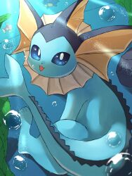 Rule 34 | air bubble, blue eyes, bubble, commentary request, creatures (company), game freak, gen 1 pokemon, gen 3 pokemon, highres, katsukare, looking at viewer, magikarp, nintendo, no humans, open mouth, pokemon, pokemon (creature), rock, seaweed, sitting, sunlight, underwater, vaporeon, whiscash