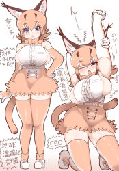 Rule 34 | 1girl, animal ears, areola slip, arms up, blush, boots, bow, bowtie, breasts, caracal (kemono friends), commentary request, elbow gloves, fang, full body, gloves, gradient hair, hair between eyes, hand on own hip, high-waist skirt, highres, kemono friends, large breasts, looking at viewer, multicolored hair, one eye closed, open mouth, orange gloves, orange hair, orange skirt, orange thighhighs, panties, pantyshot, purple eyes, shirt, short hair, sideboob, simple background, skindentation, skirt, sleeveless, sleeveless shirt, standing, stretching, tail, tanaka kusao, tears, thighhighs, traditional bowtie, translation request, underwear, white panties, yawning, zettai ryouiki