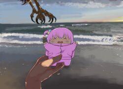 Rule 34 | beach, bird, bocchi the rock!, character doll, chiikawa plush stolen by hawk (meme), commentary request, gotoh hitori, hand up, meme, ocean, outdoors, oyomotin, pov, shore, sunset, water