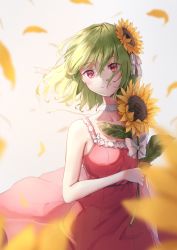 Rule 34 | 1girl, alternate costume, blurry, blurry foreground, bow, closed mouth, dress, flower, flower on head, green hair, kazami yuuka, looking at viewer, red dress, red eyes, shironeko yuuki, short hair, sleeveless, sleeveless dress, solo, sunflower, touhou, upper body, white background, white bow
