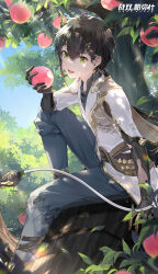 Rule 34 | 1boy, artist request, black hair, changyu (punishing: gray raven), chinese clothes, eating, food, fruit, green eyes, hair ornament, hairclip, highres, holding, holding food, holding fruit, horns, in tree, leaf, low ponytail, mechanical arms, mechanical parts, official art, peach, peach tree, punishing: gray raven, single horn, sitting, sitting in tree, smile, sunlight, tree