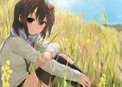 Rule 34 | 10s, 1girl, alternate costume, blue sky, brown eyes, brown hair, cardigan, day, grass, hair ornament, kantai collection, kneehighs, kusaka souji, long sleeves, looking at viewer, meadow, mountain, outdoors, scarf, sendai (kancolle), sendai kai ni (kancolle), single kneehigh, single sock, single thighhigh, sitting, sky, socks, solo, thighhighs, wheat field