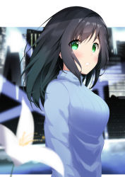 Rule 34 | 1girl, arms at sides, black hair, blue sweater, blurry, blurry foreground, blush, breasts, cityscape, clenched teeth, commentary request, depth of field, flower, green eyes, hair between eyes, kogyokuapple, long hair, long sleeves, looking at viewer, looking to the side, medium breasts, original, ribbed sweater, solo, sweater, teeth, upper body, white flower