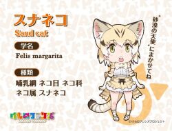Rule 34 | 1girl, animal ears, extra ears, kemono friends, looking at viewer, official art, sand cat (kemono friends), simple background, solo, tail, yoshizaki mine