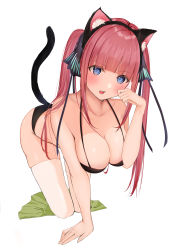 Rule 34 | 1girl, absurdres, all fours, animal ears, bare shoulders, black bra, black panties, blue eyes, bra, breasts, cat ears, cat tail, cleavage, collarbone, commentary request, go-toubun no hanayome, green skirt, hair ornament, hand up, highres, kemonomimi mode, large breasts, long hair, looking at viewer, nakano nino, open mouth, panties, pink hair, simple background, skindentation, skirt, unworn skirt, solo, tail, thighhighs, twintails, uiri-na, underwear, underwear only, white background, white thighhighs