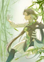 Rule 34 | 1girl, bamboo, bamboo forest, bamboo shoot, forest, highres, jianxin (wuthering waves), martial arts, nature, tai chi, wuthering waves, yume87110624