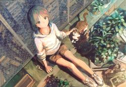 Rule 34 | 1girl, animal, brown hair, brown shorts, can, cat, commentary request, drink can, fence, from above, hood, hood down, hoodie, looking up, original, petting, plant, potted plant, rooftop, shoes, shorts, sitting, sleeves pushed up, sneakers, soda can, solo, tokunaga akimasa, watering can, white footwear, white hoodie