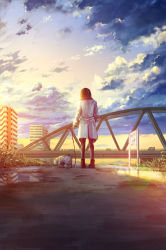 Rule 34 | 1girl, backlighting, black pantyhose, blurry, bokeh, bridge, building, bulldog, city, cloud, coat, depth of field, dog, pet walking, from behind, grass, highres, hill, leash, original, pantyhose, path, reflection, river, road, scarf, scenery, sign, sky, solo, sugi87, sunset, twilight, water, wide shot, winter clothes, winter coat