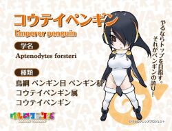 Rule 34 | 1girl, animal ears, emperor penguin (kemono friends), extra ears, kemono friends, looking at viewer, official art, simple background, solo, tail, yoshizaki mine