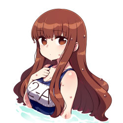 Rule 34 | 1girl, breasts, brown eyes, brown hair, chan co, cleavage, fate/extra, fate (series), kishinami hakuno (female), long hair, looking at viewer, medium breasts, one-piece swimsuit, school swimsuit, simple background, solo, swimsuit, upper body, wet, white background