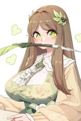 Rule 34 | 1girl, black survival, breasts, brown hair, dress, eternal return: black survival, floral print, green dress, green eyes, gweon sua, hair ornament, highres, large breasts, leaf hair ornament, long hair, looking at viewer, quill, simple background, solo, symbol-shaped pupils, upper body, white background, yabby