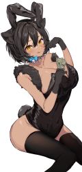 Rule 34 | 1girl, :q, animal ears, banknote, bell, black gloves, black leotard, black thighhighs, blue bow, blush, bow, breasts, cat ears, cat tail, cleavage, commission, covered navel, extra ears, gloves, hair between eyes, hand up, highres, hijiki (deriku4), holding, holding money, inuyayo, invisible chair, jingle bell, large breasts, leotard, looking at viewer, money, neck bell, original, rabbit ears, simple background, sitting, skeb commission, smile, solo, strapless, strapless leotard, tail, thighhighs, tongue, tongue out, white background, yellow eyes