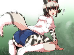 Rule 34 | 10s, 1girl, african wild dog (kemono friends), african wild dog print, animal ears, animal print, arm support, ass, black hair, bodystocking, boots, commentary request, day, denim, denim shorts, dog ears, dog tail, from behind, full body, grass, grey eyes, grey hair, isna (footprintsofisna), kemono friends, layered sleeves, leaning forward, long sleeves, looking at viewer, looking back, multicolored hair, open mouth, outdoors, pocket, shirt, short over long sleeves, short shorts, short sleeves, shorts, sidelocks, sitting, solo, tail, translation request, two-tone hair, white footwear, white shirt