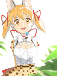 Rule 34 | 1girl, animal ears, belt, bow, bowtie, brown eyes, brown hair, cat ears, cat girl, extra ears, highres, kemono friends, kemono friends v project, large-spotted genet (kemono friends), long hair, looking at viewer, microphone, ribbon, shirt, simple background, skirt, solo, suspenders, twintails, virtual youtuber, y0whqzz8bkslezl