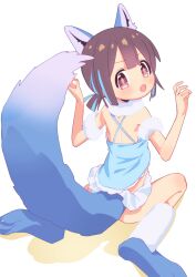 Rule 34 | 1girl, :o, animal ears, bare arms, blue hair, blunt bangs, brown eyes, brown hair, commentary, fox ears, fox tail, from behind, fur collar, hands up, highres, hozuki momiji, light blush, looking at viewer, looking back, mochitsuki kagami, multicolored hair, onii-chan wa oshimai!, paw shoes, short hair, short ponytail, simple background, sitting, solo, tail, two-tone hair, wariza, white background