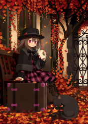 Rule 34 | 1girl, autumn leaves, bench, black bow, black hat, boots, bow, brown footwear, brown hair, capelet, cat, closed mouth, cross-laced footwear, cup, dress, gate, hair between eyes, hat, holding, holding cup, light, long hair, original, outdoors, pink dress, pink eyes, plaid, plaid dress, sitting, smile, solo, suitcase, tozaki makoto, window