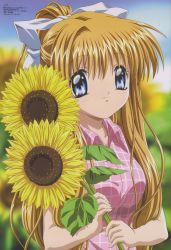 Rule 34 | 00s, 1girl, absurdres, air (visual novel), flower, highres, kamio misuzu, scan, solo, sunflower