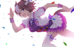 Rule 34 | 1girl, animal ears, breasts, brown hair, commentary request, eyelashes, fukuro daizi, highres, horse ears, horse girl, horse tail, looking at viewer, multicolored hair, neck ribbon, open mouth, purple eyes, purple ribbon, ribbon, running, short hair, short sleeves, smile, solo, special week (umamusume), tail, teeth, thighhighs, tongue, two-tone hair, umamusume, upper teeth only, white thighhighs