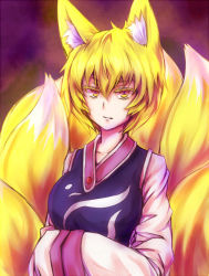 Rule 34 | 1girl, animal ears, blonde hair, colored eyelashes, fox ears, fox tail, hands in opposite sleeves, inaba-no-kuni-tottori, multiple tails, short hair, simple background, solo, tabard, tail, touhou, upper body, yakumo ran, yellow eyes