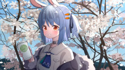 Rule 34 | 1girl, ame., animal ears, black ribbon, blue hair, blue sky, breasts, carrot, coffee cup, commentary request, cup, day, disposable cup, drinking straw, flower, fur-trimmed jacket, fur-trimmed sleeves, fur trim, grey jacket, grin, hair between eyes, hair ribbon, highres, holding, holding cup, hololive, jacket, long sleeves, looking at viewer, outdoors, rabbit ears, red eyes, ribbon, shirt, short eyebrows, sky, small breasts, smile, solo, thick eyebrows, tree, two side up, upper body, usada pekora, usada pekora (casual), virtual youtuber, white flower, white shirt
