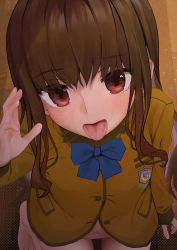 Rule 34 | 1girl, absurdres, anshinmama, barefoot, blue bow, blue bowtie, bottomless, bow, bowtie, brown eyes, brown hair, brown jacket, fate/extra, fate (series), from above, hair between eyes, highres, jacket, kishinami hakuno (female), long hair, long sleeves, looking at viewer, navel, no pants, open mouth, solo, straight hair, sweat, thigh gap, tongue, tongue out