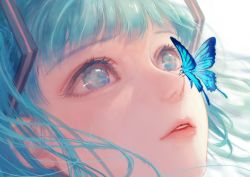 Rule 34 | 1girl, akizakura mns, aqua eyes, aqua hair, blue butterfly, bug, butterfly, butterfly on nose, close-up, commentary, hair ornament, hatsune miku, highres, insect, lips, looking up, parted lips, solo, twintails, vocaloid