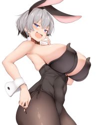 Rule 34 | 1girl, animal ears, bare shoulders, blue eyes, blush, bow, breasts, colored eyelashes, commentary request, detached collar, fake animal ears, highres, huge breasts, karatakewari, leotard, looking at viewer, open mouth, pantyhose, playboy bunny, rabbit ears, short hair, silver hair, simple background, smile, solo, uzaki-chan wa asobitai!, uzaki hana, white background, wrist cuffs