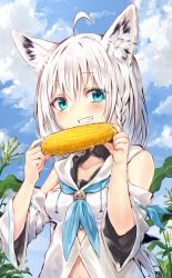 Rule 34 | 1girl, ahoge, animal ears, bare shoulders, blue eyes, blue neckerchief, blue sky, blush, braid, breasts, cloud, cloudy sky, collarbone, commentary request, corn, corn cob, day, detached sleeves, food, fox ears, fox girl, grin, hair between eyes, highres, holding, holding food, hololive, hololive gamers, long hair, long sleeves, looking at viewer, navel, neckerchief, outdoors, shirakami fubuki, shirakami fubuki (1st costume), shirt, side braid, single braid, sky, sleeveless, sleeveless shirt, small breasts, smile, solo, sukemyon, virtual youtuber, white hair, white shirt, wide sleeves