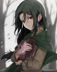 Rule 34 | 1boy, aged down, black hair, book, hugging book, cape, child, facial mark, fire emblem, fire emblem: path of radiance, forehead mark, glowing, green cape, haru (nakajou-28), highres, holding, holding book, hugging object, long hair, long sleeves, looking at viewer, nintendo, outdoors, ponytail, red eyes, solo, soren (fire emblem), tree, upper body