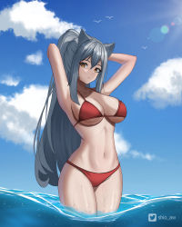 Rule 34 | 1girl, absurdres, animal ears, arknights, armpits, arms up, bikini, blue sky, breasts, cat ears, cloud, commentary, cowboy shot, day, grey hair, groin, hair between eyes, highres, large breasts, long hair, navel, outdoors, ponytail, red bikini, schwarz (arknights), shio aw, sky, solo, standing, stomach, swimsuit, thighs, very long hair, wading, water, yellow eyes