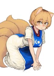 Rule 34 | 1girl, absurdres, animal ears, blonde hair, breasts, chanta (ayatakaoisii), closed mouth, dress, fox ears, fox tail, hair between eyes, highres, large breasts, looking at viewer, multiple tails, short hair, short sleeves, simple background, slit pupils, solo, tabard, tail, touhou, white background, white dress, yakumo ran, yellow eyes