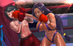 Rule 34 | 1boy, 1girl, abs, boxing, breasts, commission, fighting, muscular, muscular female, soulhyuny, tagme