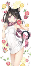 Rule 34 | 1girl, :d, animal ears, black hair, breasts, cat ears, cat tail, commentary request, cowboy shot, dress, grapefruit, highres, kantoku, looking at viewer, medium hair, one side up, open mouth, original, paw pose, pink eyes, plaid, plaid scarf, ribbed dress, scarf, shizuku (kantoku), short dress, small breasts, smile, solo, tail, taut clothes, taut dress, teeth, white dress