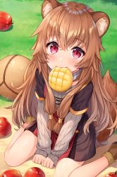Rule 34 | 1girl, animal ear fluff, animal ears, apple, artist name, ball, between legs, blush, boots, bread, brown footwear, brown hair, brown skirt, closed mouth, commentary request, day, dot nose, food, food in mouth, fruit, grass, grey shirt, hair between eyes, hand between legs, highres, hitsukuya, long hair, long sleeves, looking at viewer, melon bread, mouth hold, on ground, outdoors, raccoon ears, raccoon girl, raccoon tail, raphtalia, red apple, red eyes, ribbed shirt, shirt, sitting, skirt, sleeves past wrists, solo, tail, tate no yuusha no nariagari, very long hair, wariza