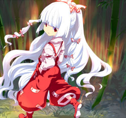 Rule 34 | 1girl, bad id, bad pixiv id, bamboo, bamboo forest, female focus, forest, fujiwara no mokou, hair ribbon, hoshiimo, long hair, nature, red eyes, ribbon, silver hair, solo, suspenders, touhou