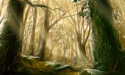 Rule 34 | 108, 1boy, absurdres, forest, ginko, highres, landscape, light rays, male focus, mushishi, nature, scenery, solo, sunbeam, sunlight, tree