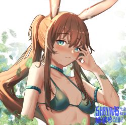 Rule 34 | 1girl, absurdres, amiya (arknights), animal ears, arknights, armlet, bare shoulders, blue choker, blush, breasts, breasts apart, brown hair, choker, closed mouth, collarbone, green eyes, highres, leaf, long hair, looking at viewer, ponytail, rabbit ears, sayay-vanilla, sidelocks, signature, small breasts, smile, solo, upper body, very long hair, white background