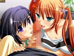 Rule 34 | 1boy, 2girls, artist request, censored, fellatio, game cg, long hair, mosaic censoring, cooperative fellatio, multiple girls, naughty face, oral, penis, pov, source request, tongue, tongue out