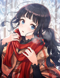 Rule 34 | 1girl, ahoge, artist name, bare tree, black hair, blue eyes, blurry, blurry background, blush, day, depth of field, eyelashes, floating hair, forest, hands up, head tilt, long hair, long sleeves, looking at viewer, nature, original, outdoors, parted lips, red scarf, scarf, side ponytail, sidelocks, solo, soyubee, sparkle, tareme, tree, winter