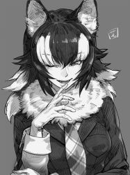 Rule 34 | 10s, 1girl, animal ears, commentary request, gloves, grey wolf (kemono friends), greyscale, grin, highres, kemono friends, monochrome, multicolored hair, necktie, plaid, shiba itsuki, signature, smile, two-tone hair