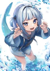 Rule 34 | 1girl, absurdres, animal costume, animal hood, blue eyes, blue hair, blue hoodie, blunt bangs, blush, claw pose, fins, fish tail, from above, gawr gura, gawr gura (1st costume), grey hair, hair ornament, highres, hiiragi hiiro, hololive, hololive english, hood, hoodie, looking at viewer, multicolored hair, open mouth, shark costume, shark girl, shark hair ornament, shark hood, shark tail, sharp teeth, smile, solo, streaked hair, tail, teeth, twitter username, two side up, virtual youtuber, water