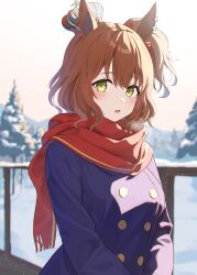 Rule 34 | 1girl, absurdres, anima miko, animal ears, aston machan (umamusume), blue coat, blush, brown hair, coat, crown, highres, horse ears, horse girl, long sleeves, looking at viewer, open mouth, outdoors, red scarf, scarf, short hair, side ponytail, snow, solo, tree, umamusume, upper body, winter, yellow eyes