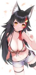 Rule 34 | 1girl, absurdres, animal ears, autumn leaves, bare shoulders, bikini, bikini under clothes, black hair, breasts, choker, cleavage, closed mouth, cowboy shot, dai okami kohei, from above, front-tie bikini top, front-tie top, head tilt, highres, hololive, large breasts, leaf print, long hair, looking at viewer, lowleg, lowleg shorts, multicolored hair, navel, ookami mio, ookami mio (hololive summer 2019), orange eyes, print bikini, red hair, short shorts, shorts, side-tie bikini bottom, sidelocks, streaked hair, string bikini, swimsuit, tail, tail around own leg, thigh strap, v, very long hair, virtual youtuber, white shorts, wolf ears, wolf tail
